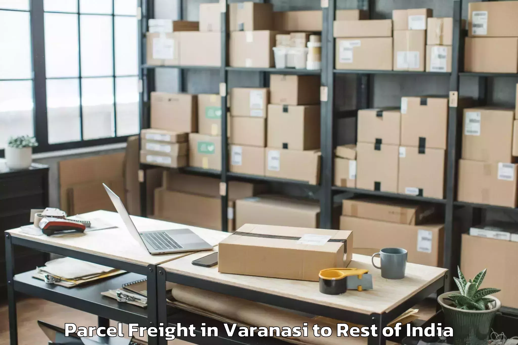 Comprehensive Varanasi to Badgam Parcel Freight